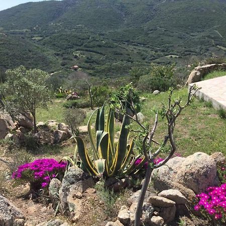 Tenuta Su Mastru Olbia Exteriér fotografie