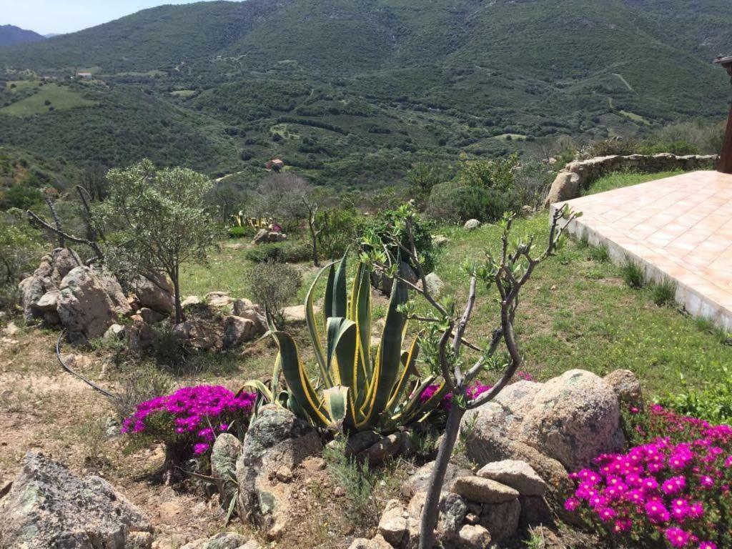 Tenuta Su Mastru Olbia Exteriér fotografie